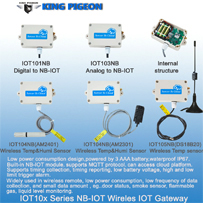 BLIIOT-IoT Sensor, Wireless IoT Sensor